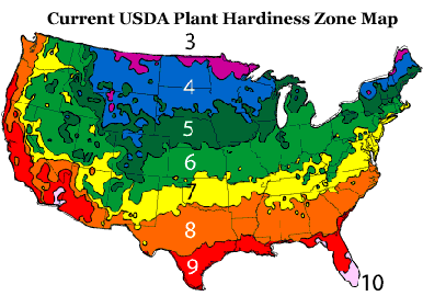 Palm Plant Hardiness Zone Map for Selecting A Palm Tree Specimen